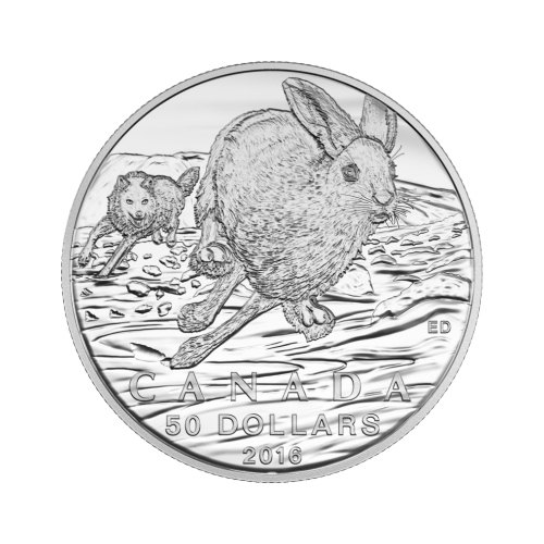 Random Year 1/2 oz $50 for $50 Silver Coin | Royal Canadian Mint