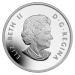 Pièce 2 onces d'argent 200 $ pour 200 $ Année aléatoire