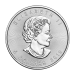 1 oz 2019 Canadian Maple Leaf Silver Coin | Royal Canadian Mint