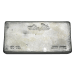 50 oz Silver Bar | Silvertowne Mint