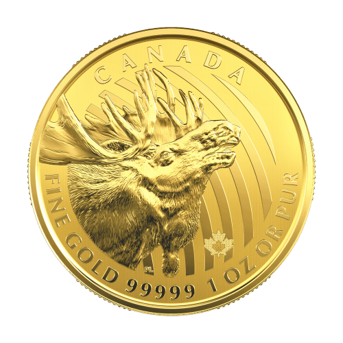 Série Cris d'animaux sauvages 2019 1 once | Pièce d'or Orignal