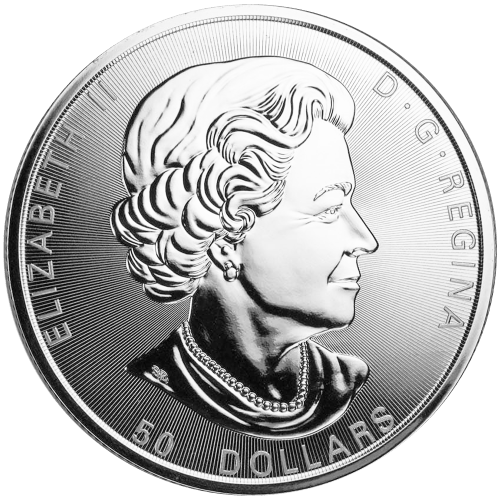 Pièce 10 onces d'argent Magnifiques feuilles d'érable 2019 | Monnaie royale canadienne