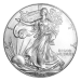 1 oz 1996 NGC MS 69 American Eagle Silver Coin | United States Mint