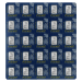 25 x 1 Multigram Platinum Bar | PAMP Suisse