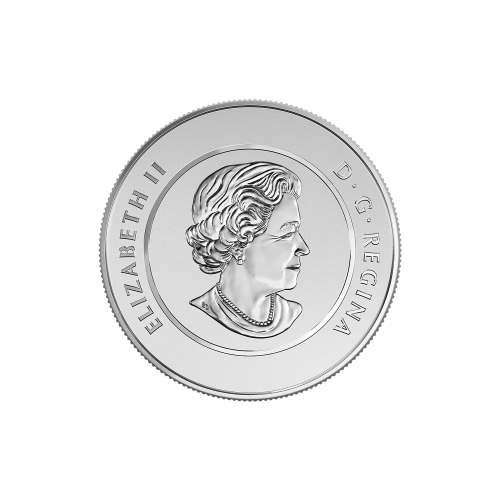 Random Year 1/4 oz $25 for $25 Silver Coin