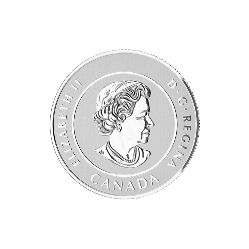 Random Year 1/4 oz $25 for $25 Silver Coin