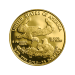 Pièce 1/2 once d'or Épreuve numismatique Aigle américain Année aléatoire | Monnaie des États-Unis