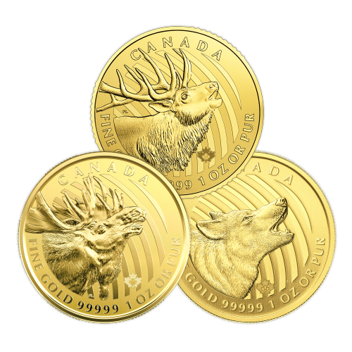1 oz Random Year Call of the Wild Series Damaged Certicard Gold Coin | Royal Canadian Mint
