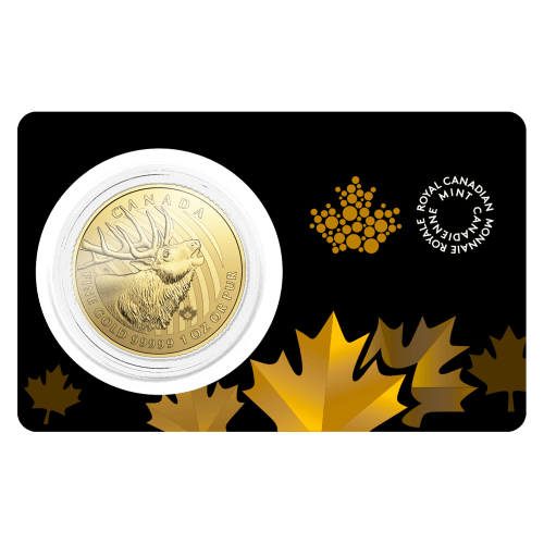 1 oz Random Year Call of the Wild Series Damaged Certicard Gold Coin | Royal Canadian Mint