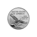 1/4 oz 2005 American Eagle Platinum Coin | United States Mint