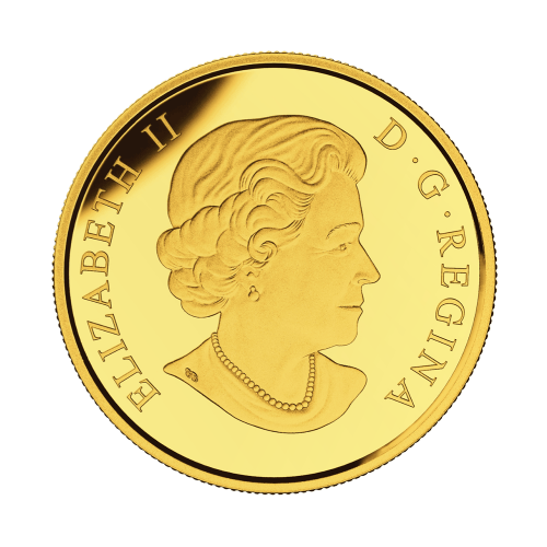 Pièce 1/2 once d’or Henry Hudson 2015 | Monnaie royale canadienne