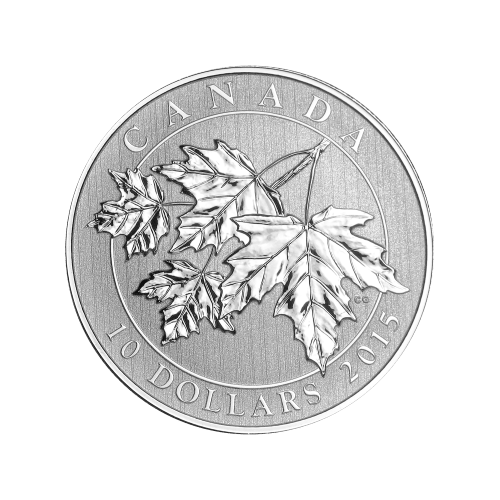 Pièce 1/2 once d'argent de collection canadienne assortie | Monnaie royale canadienne