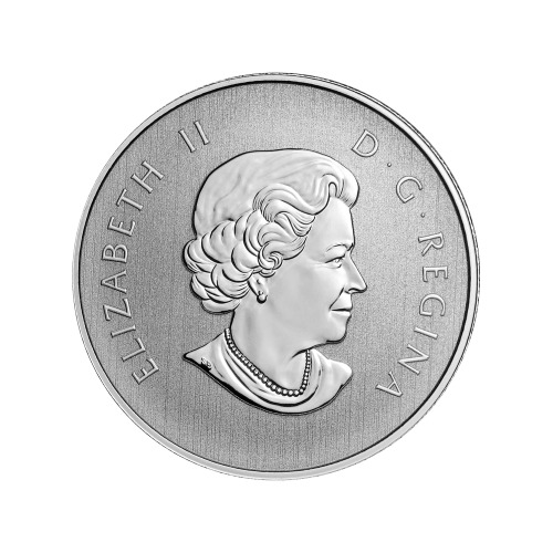 Pièce 1/2 once d'argent de collection canadienne assortie | Monnaie royale canadienne