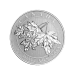 Pièce 1/2 once d'argent de collection canadienne assortie | Monnaie royale canadienne