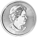 Pièce 10 onces d'argent Souverain diverse hors-circulation