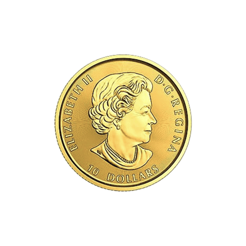1/4 oz 2017 Canadian Bison Gold Coin | Royal Canadian Mint