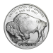 1 oz 2001 Buffalo Proof Silver Coin | United States Mint