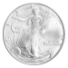 1 oz 2006 American Eagle First Strike MS 69 Silver Coin | United States Mint