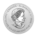3/4 oz 2013 First Special Service Force Silver Coin | Royal Canadian Mint