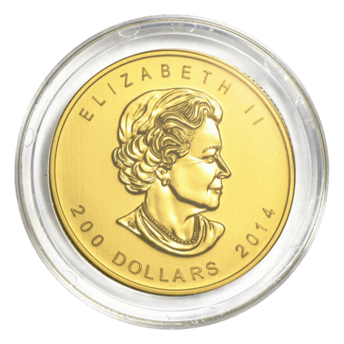 1 oz Random Year Call of the Wild Series Gold Coin (In Capsule Only) | Royal Canadian Mint