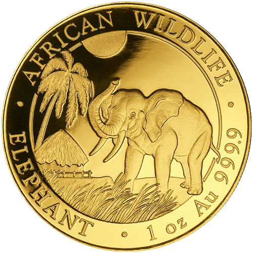 Pièce d'or Éléphant d'Afrique somalien 2017 de 1 once