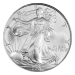 1 oz 2007 American Eagle First Strike MS-69 Silver Coin | United States Mint
