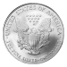 1 oz 2007 American Eagle First Strike MS-69 Silver Coin | United States Mint