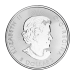 Pièce 1,25 once d'argent Bison canadien 2018 | Monnaie royale canadienne