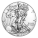Pièce 1 once d'argent MS-70 NGC Premières pièces frappées Aigle américain 2015 | Monnaie des États-Unis