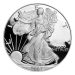 1 oz 2007 American Eagle Proof Silver Coin | United States Mint