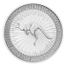 Pièce 1 once d'argent Kangourou australien 2020 | Monnaie de Perth