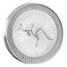 Pièce 1 once d'argent Kangourou australien 2020 | Monnaie de Perth
