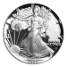 Pièce 1 once d'argent Épreuve numismatique Aigle américain 1989 | Monnaie des États-Unis