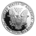 Pièce 1 once d'argent Épreuve numismatique Aigle américain 1989 | Monnaie des États-Unis