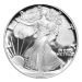 1 oz 1991 American Eagle Proof Silver Coin | United States Mint