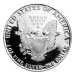 1 oz 1991 American Eagle Proof Silver Coin | United States Mint