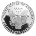 Pièce 1 once d'argent Épreuve numismatique Aigle américain 1992 | Monnaie des États-Unis