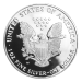 Pièce 1 once d'argent Épreuve numismatique Aigle américain 2002 | Monnaie des États-Unis