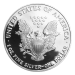 1 oz 2003 American Eagle Proof Silver Coin | United States Mint
