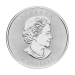 1.25 oz Assorted Silver Coin