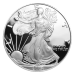 Pièce 1 once d'argent Épreuve numismatique 2004 | Monnaie des États-Unis