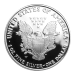 Pièce 1 once d'argent Épreuve numismatique 2004 | Monnaie des États-Unis