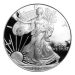 Pièce 1 once d'argent Épreuve numismatique Aigle américain 2005 | Monnaie des États-Unis