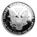 Pièce 1 once d'argent Épreuve numismatique Aigle américain 2005 | Monnaie des États-Unis
