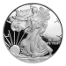 Pièce 1 once d'argent Épreuve numismatique Aigle américain 2008 | Monnaie des États-Unis