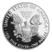 Pièce 1 once d'argent Épreuve numismatique Aigle américain 2008 | Monnaie des États-Unis