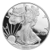 1 oz 2010 American Eagle Proof Silver Coin | United States Mint