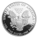 1 oz 2010 American Eagle Proof Silver Coin | United States Mint