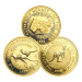 Pièce 1 once d'or Pépite Kangourou australienne Année aléatoire | Monnaie de Perth
