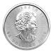 Pièce 1 once de platine Feuille d'érable canadienne 2020